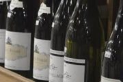 wireready_03-04-2021-21-04-06_00193_winebottles