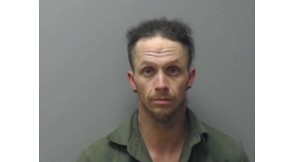 Man who once ran from cops, knocked himself out in collision with tree back in court - Vimarsana News