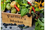 wireready_03-16-2021-20-56-03_00019_farmersmarket6