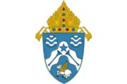 wireready_03-21-2021-20-54-04_00029_dioceselogo