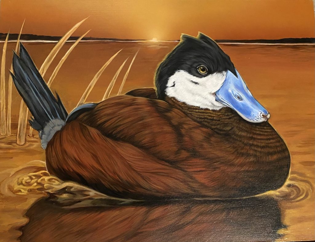 Arp wins Best of Show in Arkansas Junior Duck Stamp Program KTLO