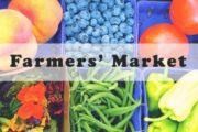 wireready_04-30-2021-10-00-16_00007_farmersmarket