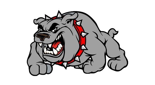 wireready_05-21-2021-09-18-10_00071_gainesvillebulldognew