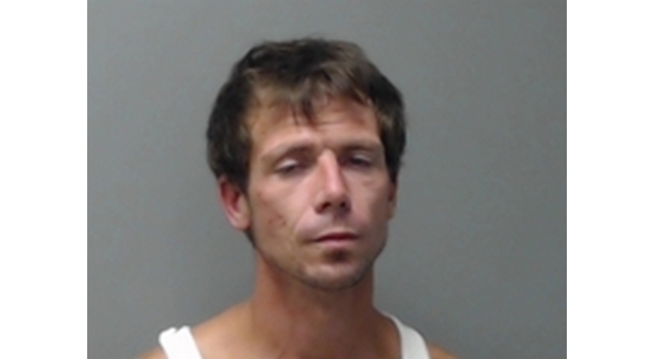 Man with long criminal record sentenced to 15 years in prison - Vimarsana News