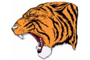 wireready_06-03-2021-09-00-05_00116_hollistertigers