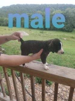 fb_img_1624589977144