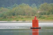 wireready_07-17-2021-11-20-17_00006_waterbuoy