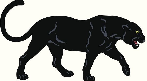 wireready_07-26-2021-10-16-15_00007_norforkpanthers