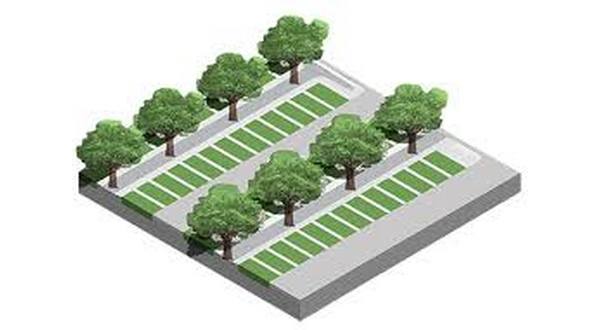 Urban forestry grant to establish permeable parking lot in MH - Vimarsana News