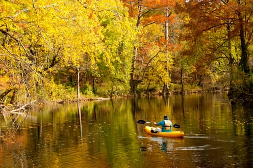The Natural State has autumn colors, adventures to explore - Vimarsana News