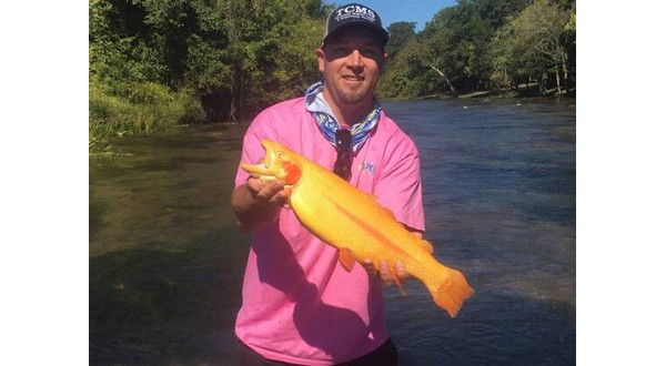 Area fishing guide experiences catch of a lifetime - Vimarsana News