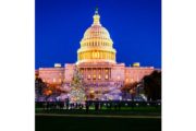 wireready_11-09-2021-23-50-03_00151_capitolchristmastree