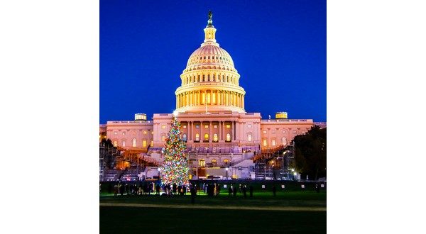 wireready_11-09-2021-23-50-03_00151_capitolchristmastree