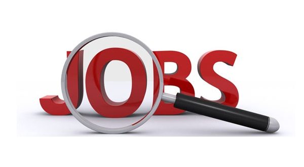 wireready_11-15-2021-21-06-31_00193_jobs