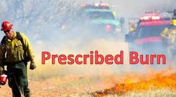 Prescribed burns planned on area lakes - Vimarsana News