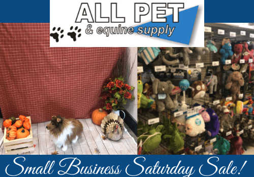 Small Business Saturday Sale! - Vimarsana News