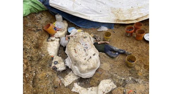 Duck-billed dinosaur may be one of many at Missouri site - Vimarsana News