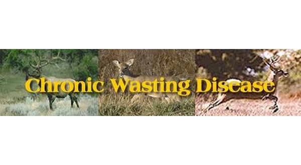 Chronic wasting disease found in deer in southern Arkansas - Vimarsana News