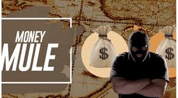 2 indicted during nationwide 'Money Mule Initiative' with area connection - Vimarsana News
