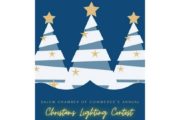 wireready_12-05-2021-12-42-02_00119_salemchamberlightingcontest
