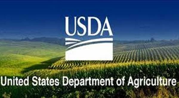wireready_01-02-2022-12-34-02_00021_usda2