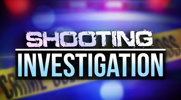 Police: 2 men found dead in Springfield cemetery - Vimarsana News