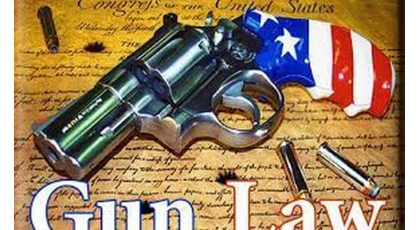 Missouri Supreme Court weighs law against federal gun rules - Vimarsana News
