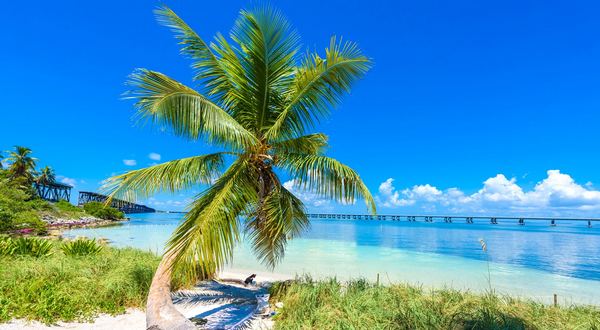 Arkansas man dies while snorkeling Florida Keys - Vimarsana News