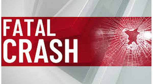 1 person killed, 3 injured when truck, trailer hauling logs crashes - Vimarsana News