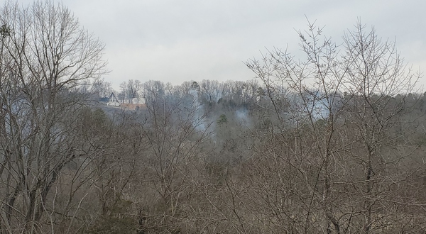 Efforts continue to contain fire covering 100 acres near Salesville - Vimarsana News
