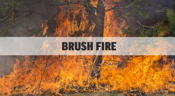 Out-of-control brush fire contained in Baxter County - Vimarsana News