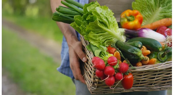 New website makes finding Missouri farmers' markets easier - Vimarsana News