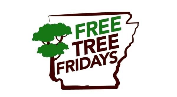 wireready_03-17-2022-09-50-02_00018_freetreefridays