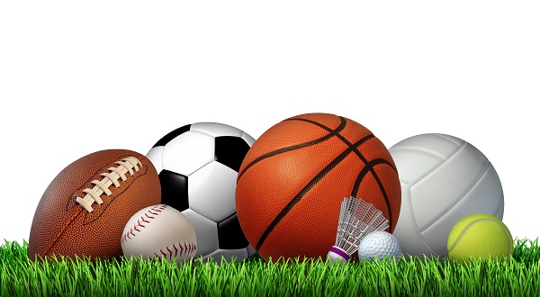 Saturday schedule includes 4 area teams playing for spot in state finals - Vimarsana News