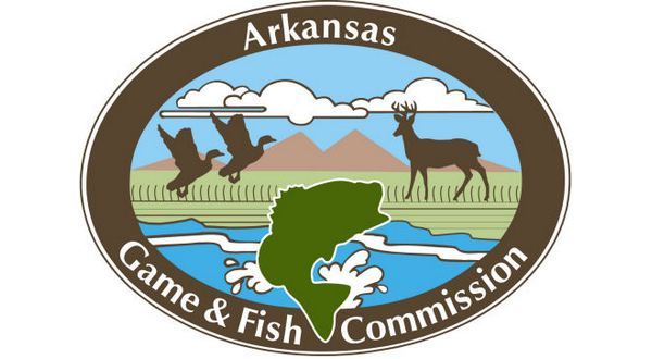 Game and Fish sets 2023-24 waterfowl season dates, passes bear season