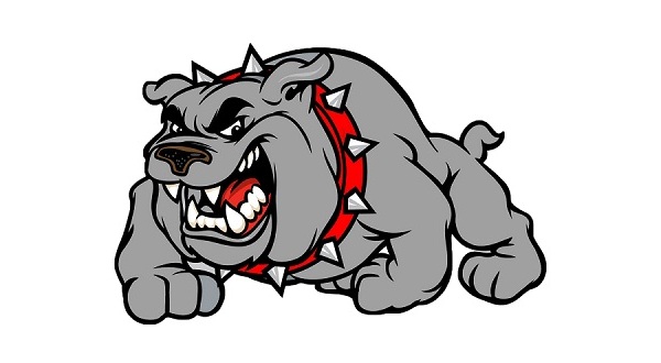 Gainesville falls in state semifinals, plays Tuesday for 3rd place - Vimarsana News