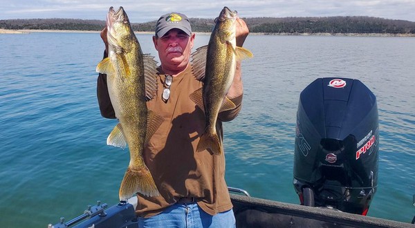 Walleye production high on Bull Shoals, Norfork lakes - Vimarsana News