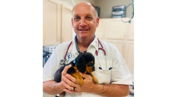 Mountain Home veterinarian offers hot weather tips for pets - Vimarsana News