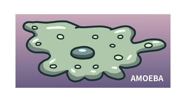 Missouri swimmer likely infected with amoeba in Iowa dies - Vimarsana News
