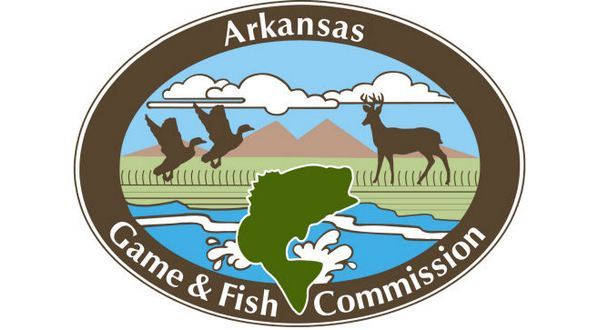 Game and Fish receives grant to improve fish habitat in Twin Lakes - Vimarsana News