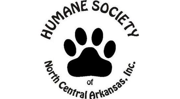 Humane Society receives grant to reduce adoption fees for cats, kittens - Vimarsana News