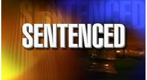 Conway man sentenced for importation of illegally taken wildlife - Vimarsana News