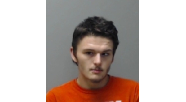 Gassville man gets 3 years probation after pleading to drug charges - Vimarsana News