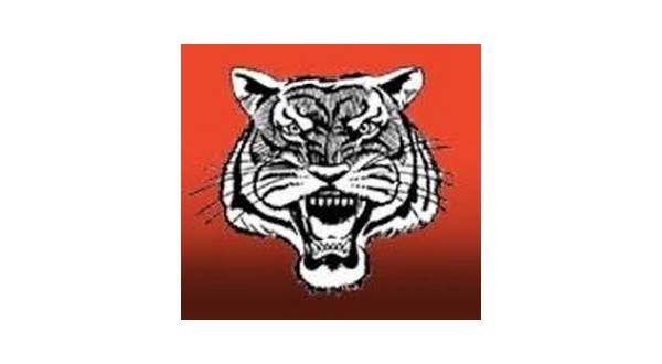 wireready_08-18-2022-10-18-03_00041_melbournebearkatz