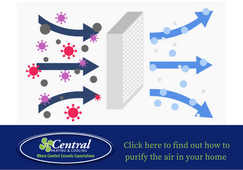 Eliminate airborne particles in your home! - Vimarsana News