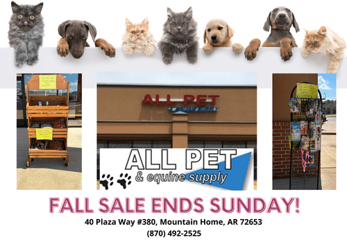 Fall Sale Ends this Sunday! - Vimarsana News