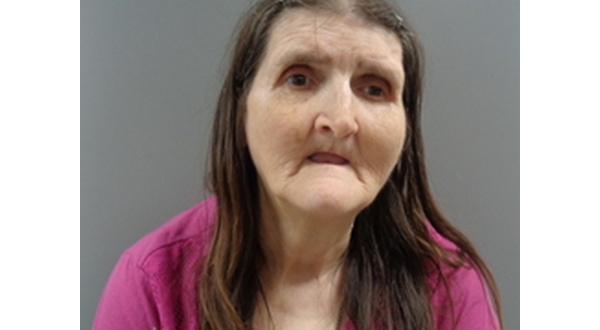 Aggravated assault on home health aide leads to felony charges for Izard County woman - Vimarsana News
