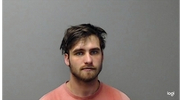 10-year prison sentence handed down to man who battered girlfriend - Vimarsana News