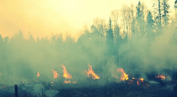 Area firefighters leave to work wildfires in Kentucky - Vimarsana News