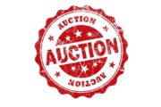 wireready_12-02-2022-11-38-04_00036_auction2